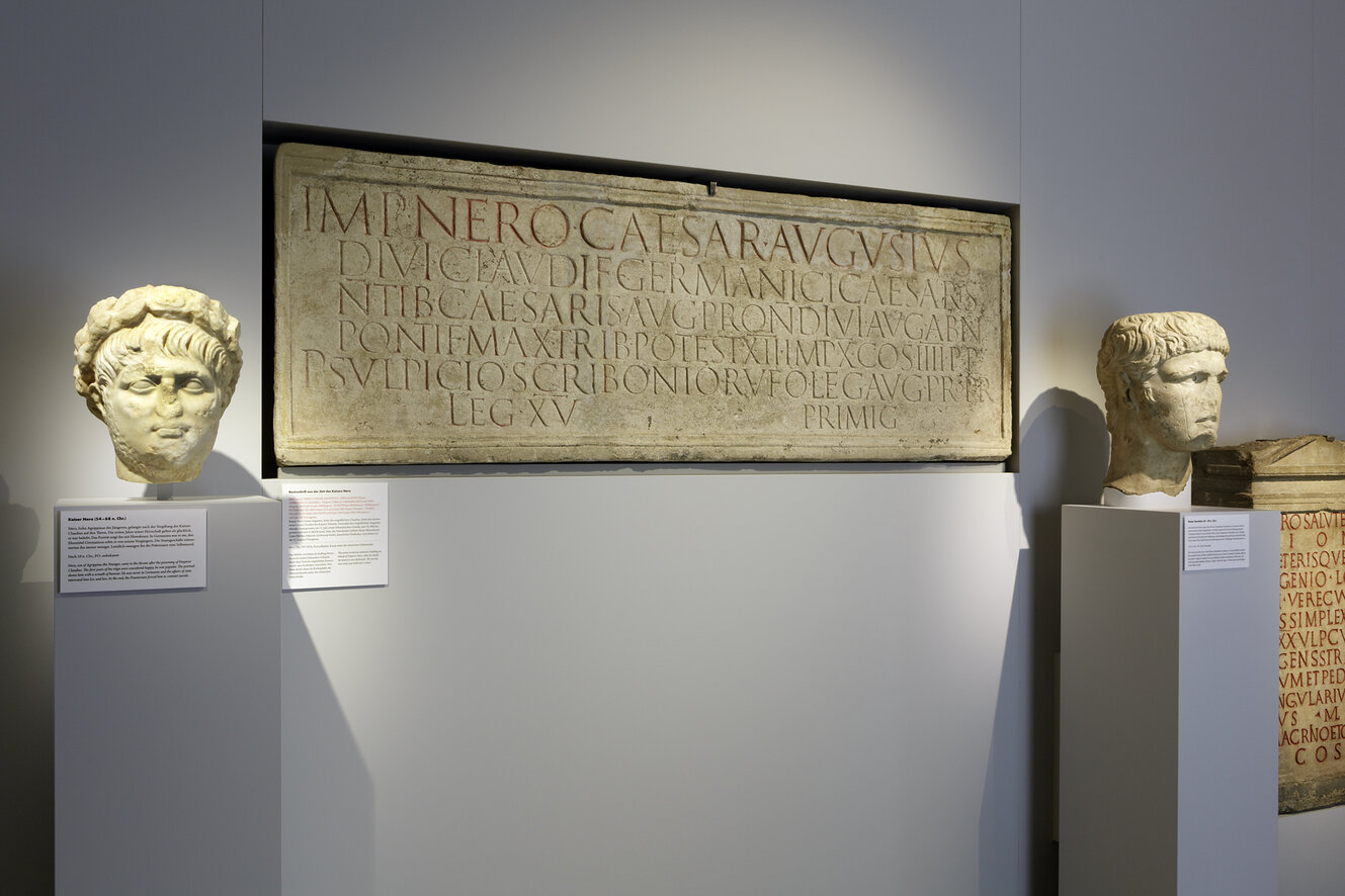 Showcases with exhibits