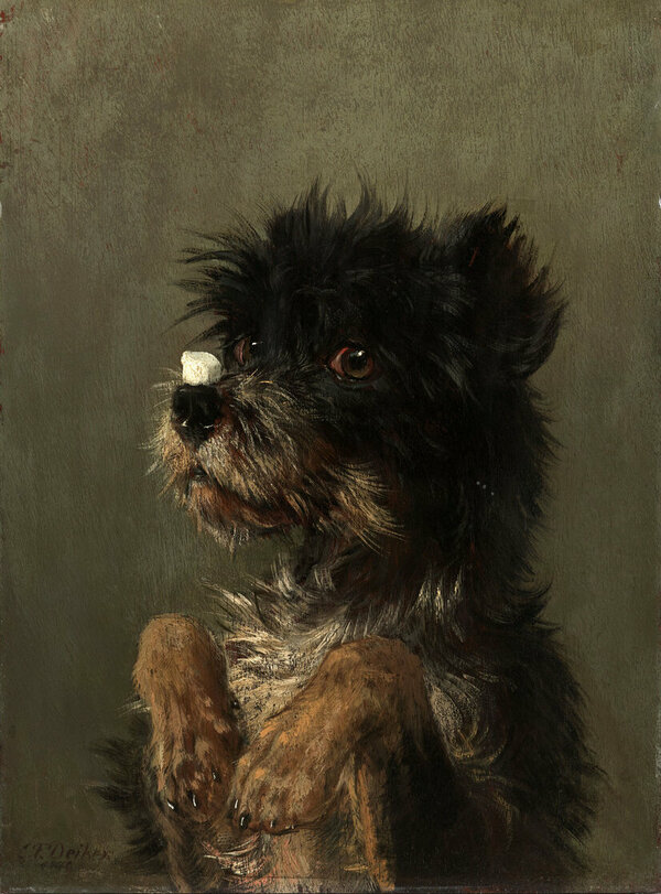 Carl Friedrich Deiker, Hund mit Zuckerstück auf der Nase (Ausschnitt)