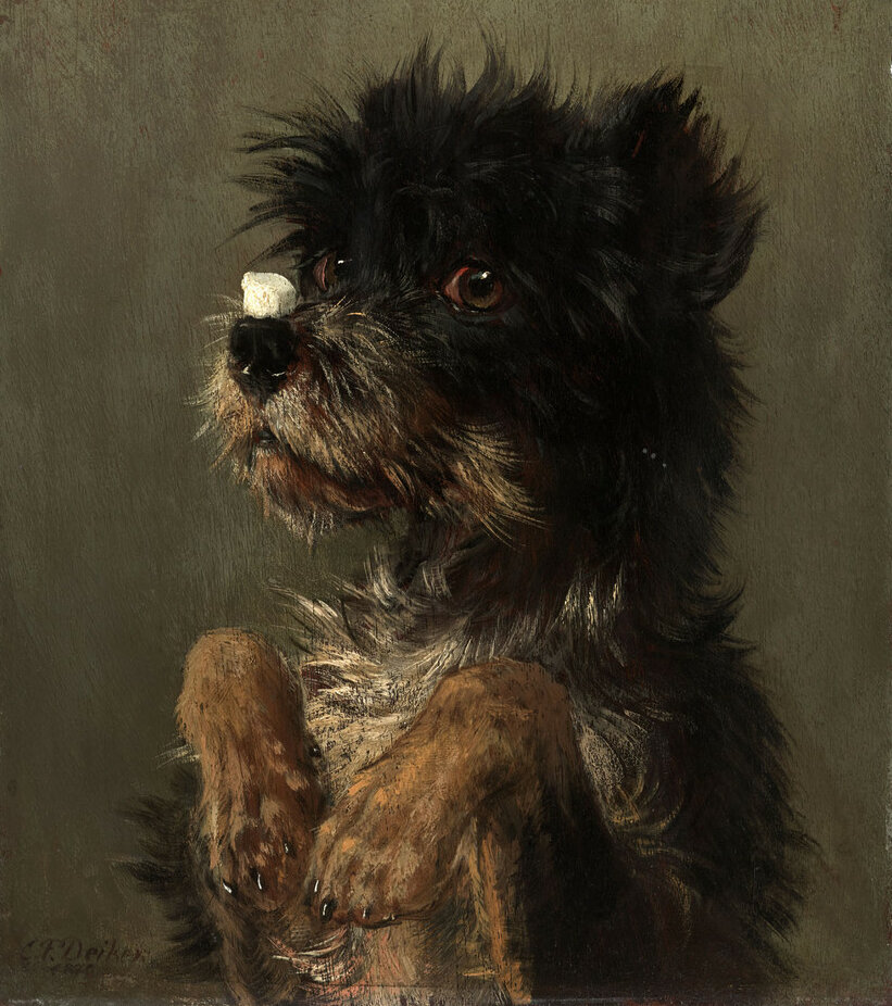 Carl Friedrich Deiker, Dog with lump of sugar on its nose (extract), 1870