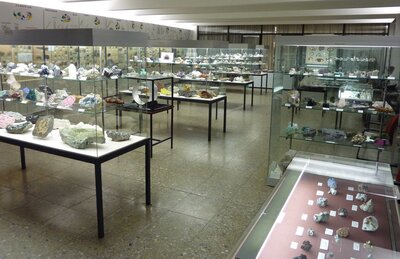 Ausstellungsraum im Geomuseum