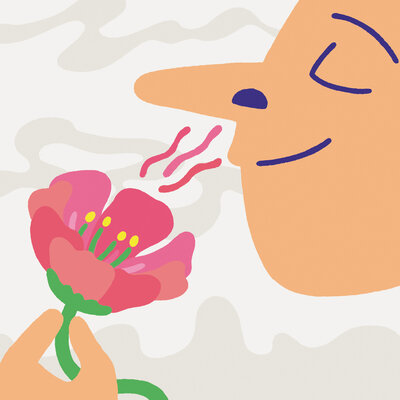 Illustration on the theme of smelling