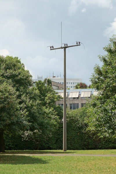 Nina Canell, Power (Powerless), 2013