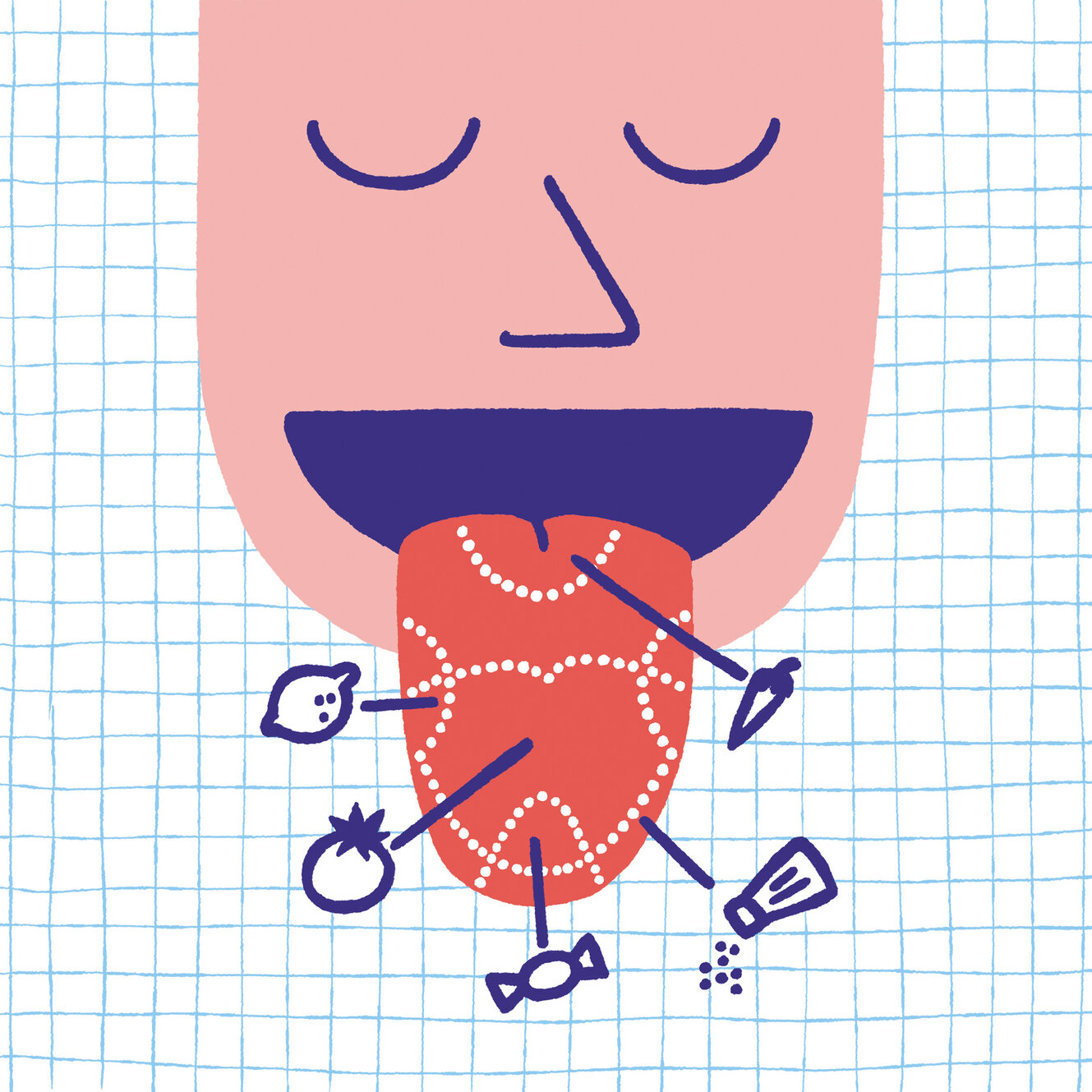 Illustration mit den Geschmacksfeldern der menschlichen Zunge