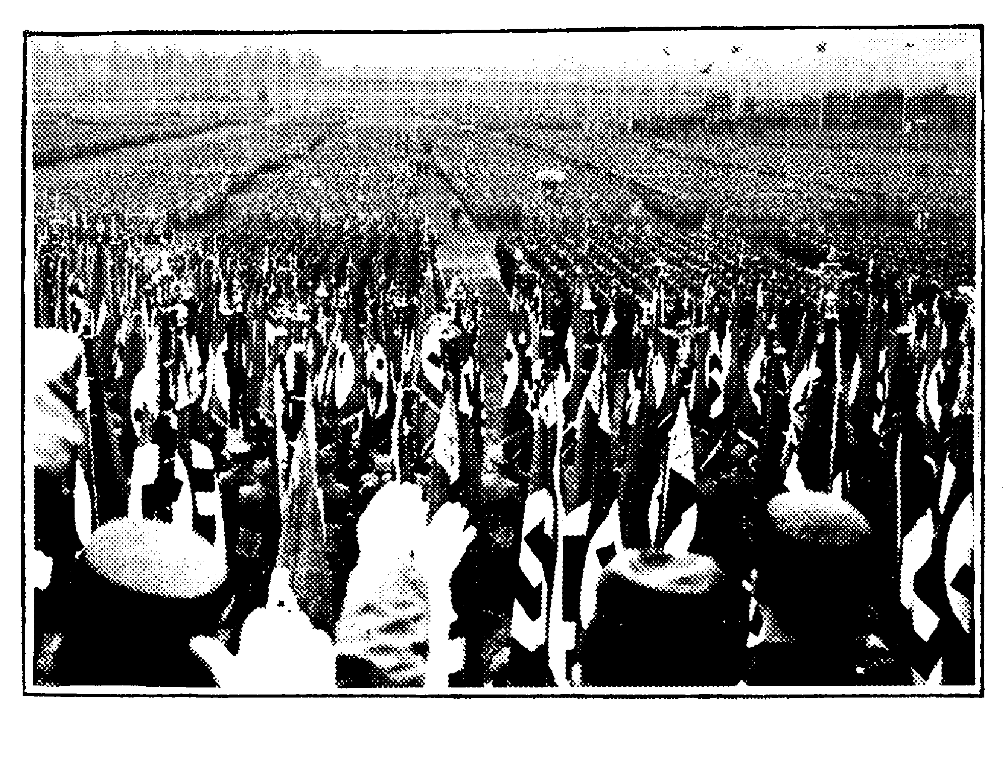Gauparteitag 1934: Tausende Menschen mit Flaggen auf einem großem Platz